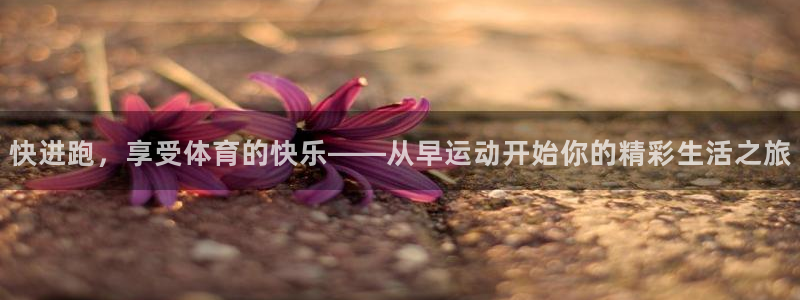 哈哈体育十年