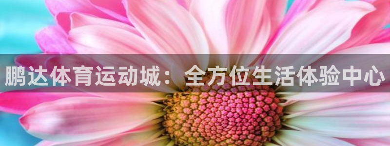 哈哈体育下载：鹏达体育运动城：全方位生活体验中心