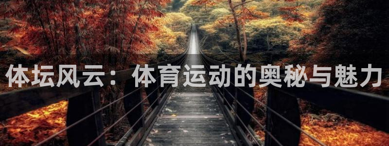 哈哈体育十年：体坛风云：体育运动的奥秘与魅力