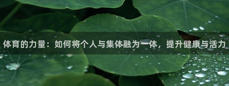 哈哈体育下载：体育的力量：如何将个人与集体融为一体，提升健康与活力