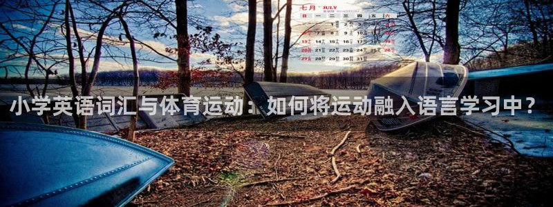 哈哈体育十年：小学英语词汇与体育运动：如何将运动融入语言学习中？