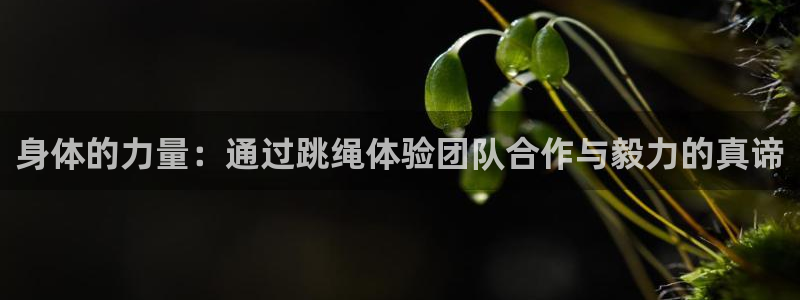 哈哈体育下载：身体的力量：通过跳绳体验团队合作与毅力的真谛